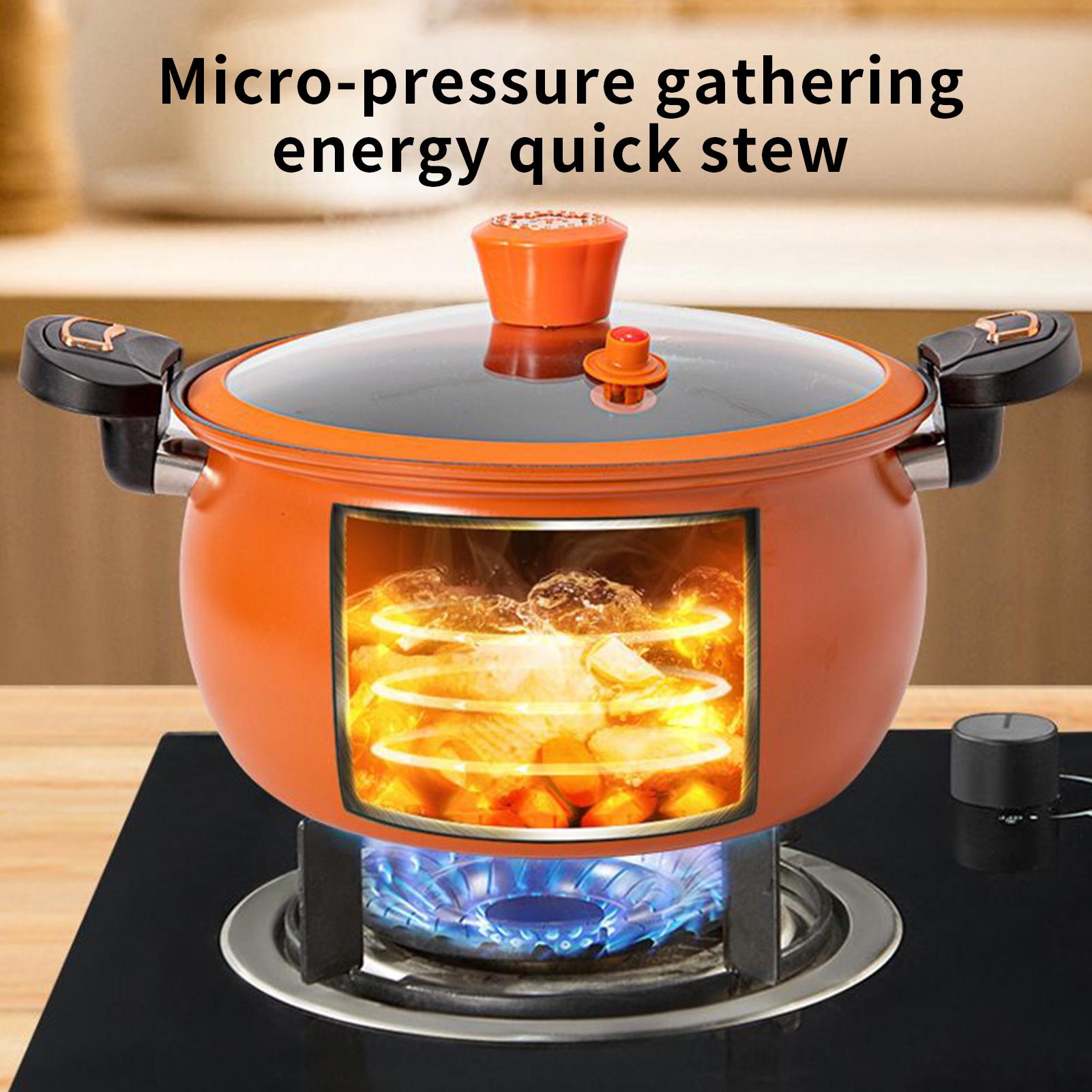 Small Pressure Cooker Non-Stic - Home Cooking Fast Foods 评论和价格